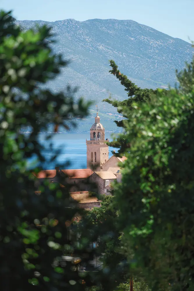 2026-06-14_korcula_bell-tower-through-pines_dsc07036.jpg