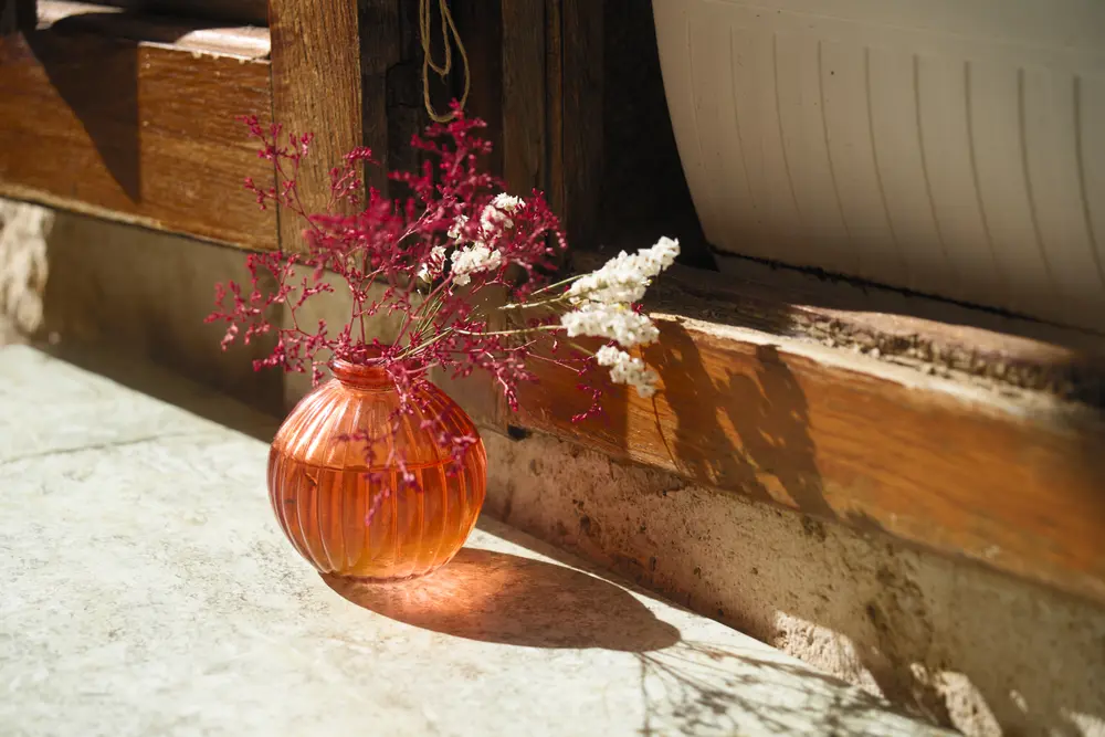 2026-06-13_korcula_vase-on-sunlit-windowsill_dsc06584.jpg
