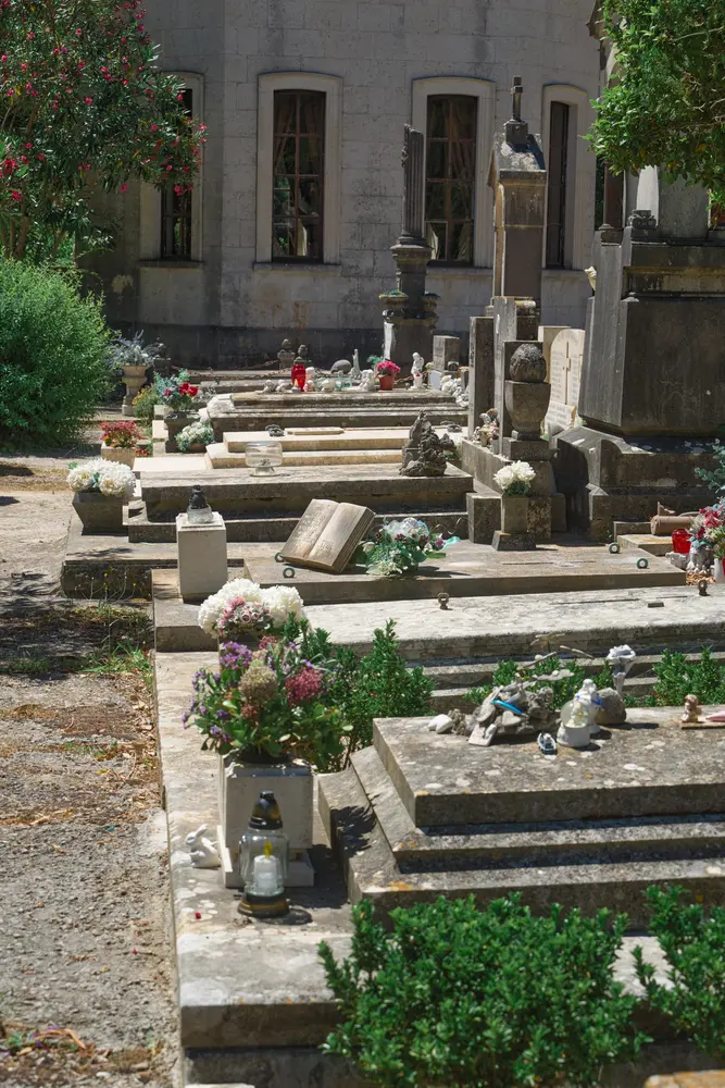 2026-06-14_korcula_flowers-on-graves_dsc07079.jpg