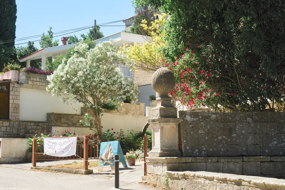2026-06-14_korcula_garden-wall-with-oleander_dsc06958.jpg