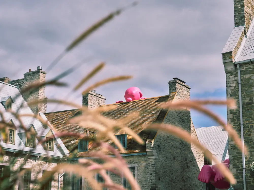2024-09-10_quebec-city_pink-rooftop-grass_dsc04721.jpg