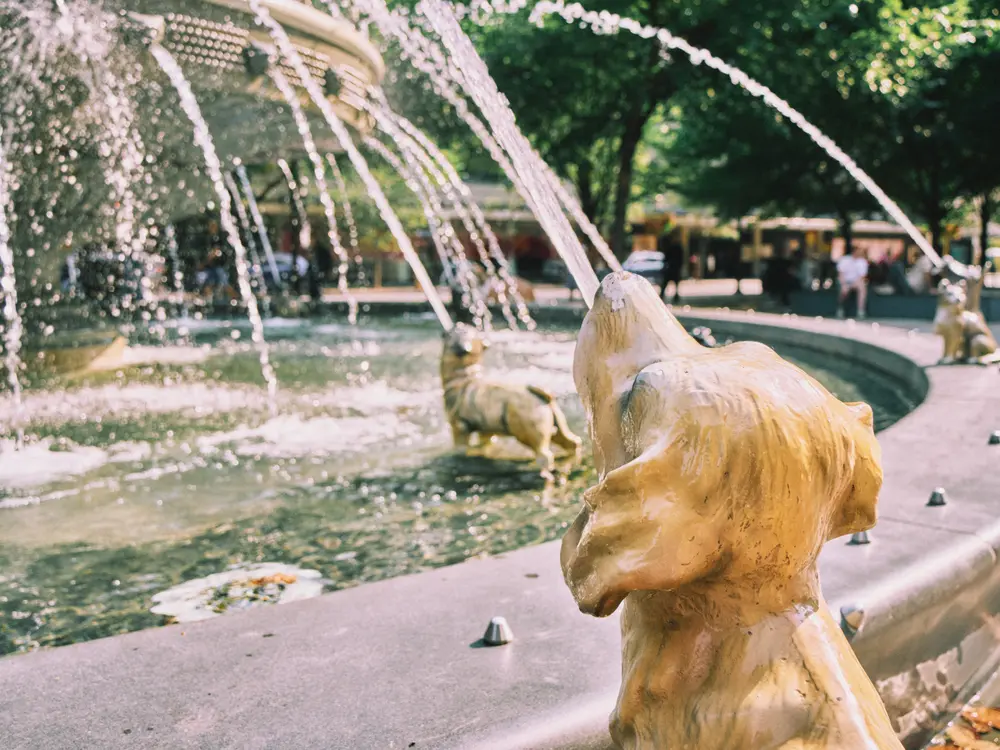2024-09-05_toronto_dog-fountain-close_dsc03273.jpg