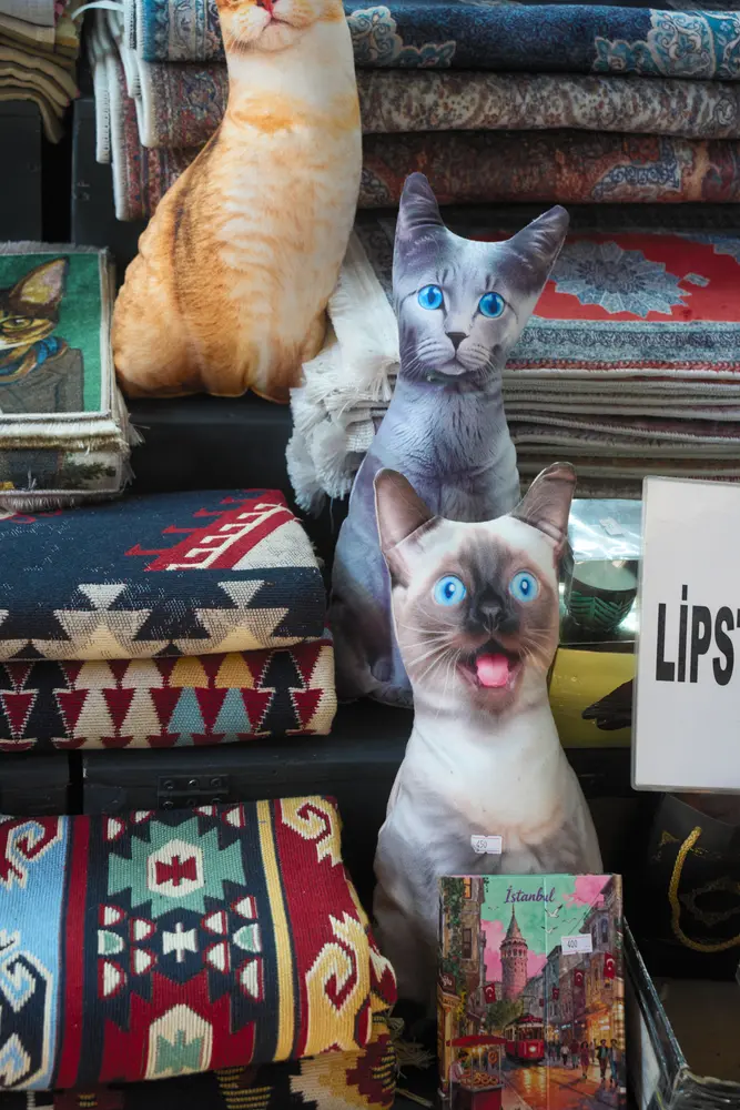 2026-06-06_istanbul_cat-postcards-shop-display_dsc02925.jpg