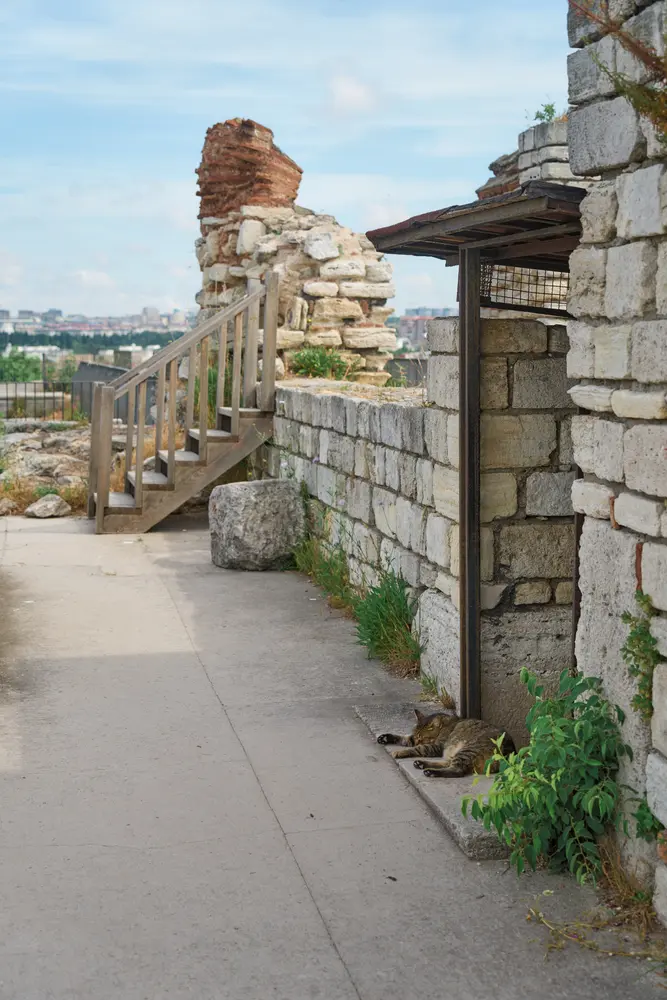 2026-06-09_istanbul_rampart-walkway-cat_dsc04641.jpg